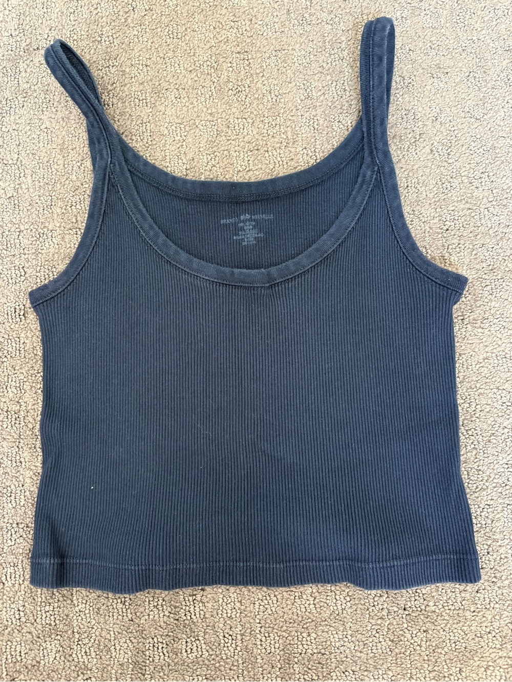 Brandy Melville Black Ribbed Crop Tank